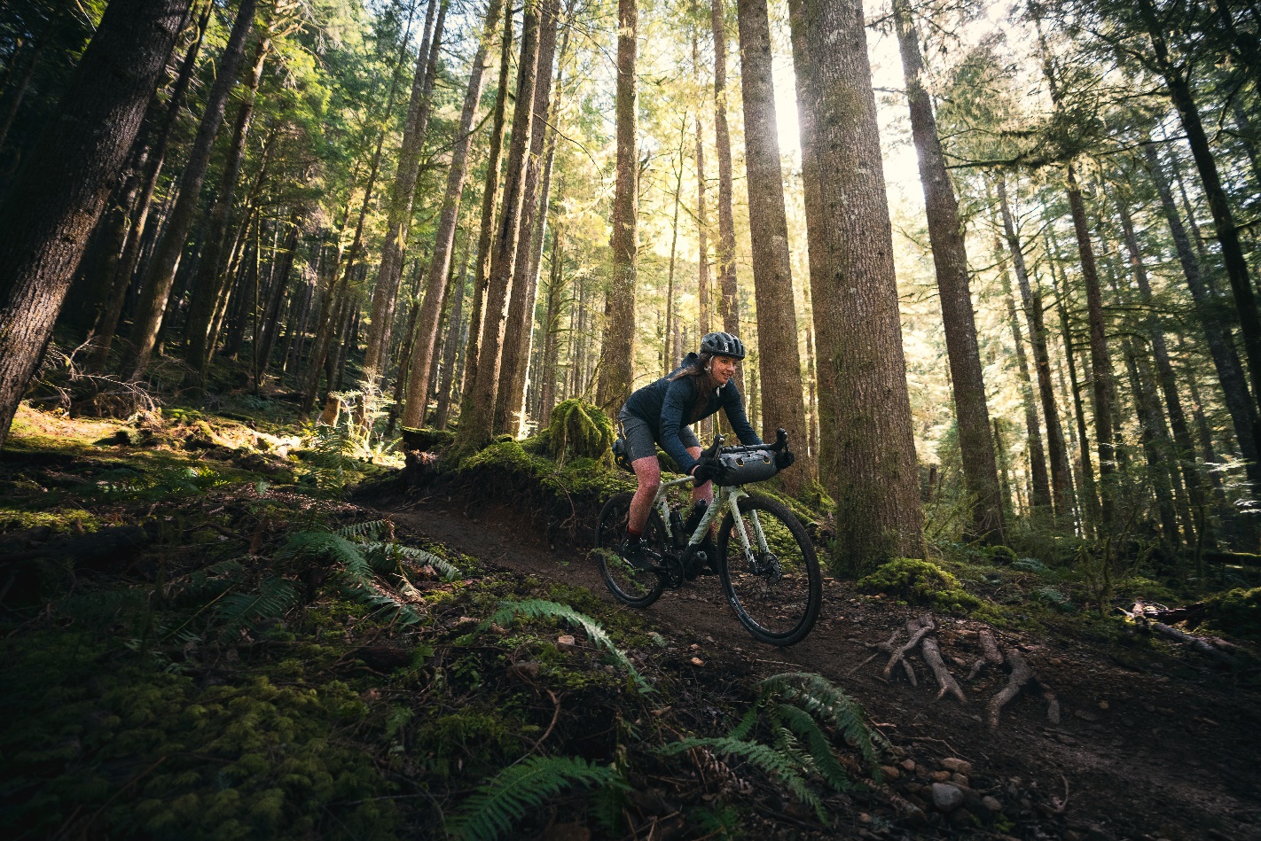 canyon gravel bike